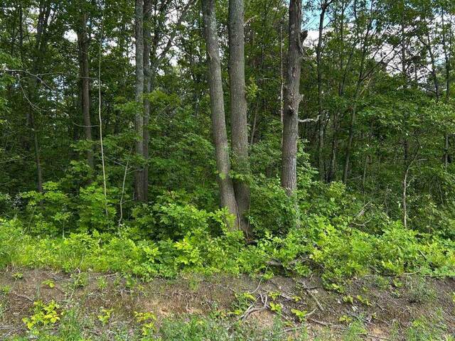 100, 104, AND 106 DINGMAN ROAD Cramahe Ontario, K0K 1M0 - Vacant Land For Sale