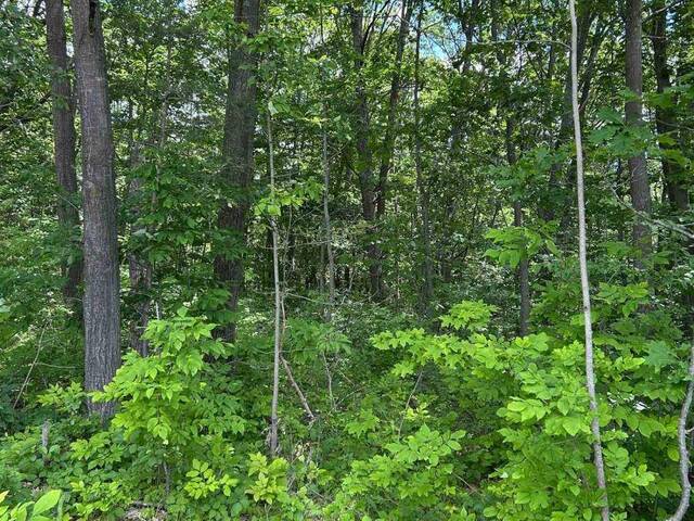 101, 102 AND 103 DINGMAN ROAD Cramahe Ontario, K0K 1M0 - Vacant Land For Sale