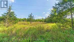 1321 CROWE RIVER ROAD N | Campbellford Ontario | Slide Image Eleven