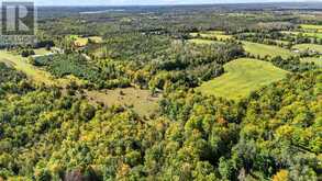 1321 CROWE RIVER ROAD N | Campbellford Ontario | Slide Image Twelve