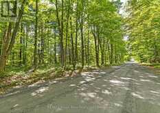 1321 CROWE RIVER ROAD N | Campbellford Ontario | Slide Image Thirteen