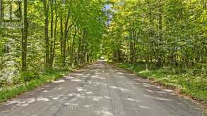 1321 CROWE RIVER ROAD N | Campbellford Ontario | Slide Image One