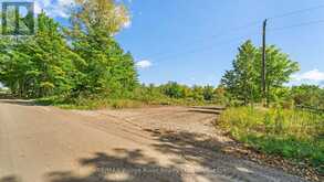 1321 CROWE RIVER ROAD N | Campbellford Ontario | Slide Image Three