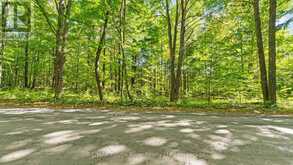 1321 CROWE RIVER ROAD N | Campbellford Ontario | Slide Image Six
