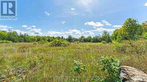 1321 CROWE RIVER ROAD N | Campbellford Ontario | Slide Image Eight