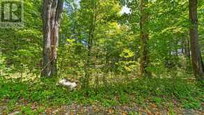 1321 CROWE RIVER ROAD N | Campbellford Ontario | Slide Image Nine