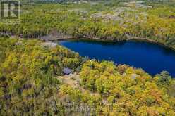 117 FIRE ROUTE 396 ROUTE | Kawartha Lakes Ontario | Slide Image Forty