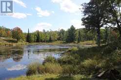 LT 22-24 CON 1 LAKE | Marmora Ontario | Slide Image Nineteen
