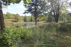 LT 22-24 CON 1 LAKE | Marmora Ontario | Slide Image Twenty-two