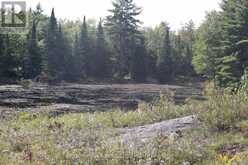 LT 22-24 CON 1 LAKE | Marmora Ontario | Slide Image Twenty-five