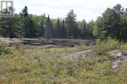 LT 22-24 CON 1 LAKE | Marmora Ontario | Slide Image Twenty-six