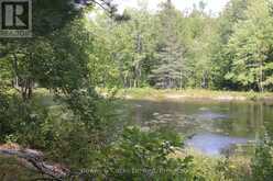 LT 22-24 CON 1 LAKE | Marmora Ontario | Slide Image Twenty-eight