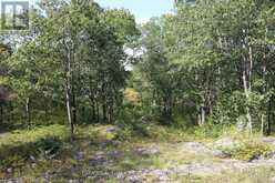 LT 22-24 CON 1 LAKE | Marmora Ontario | Slide Image Forty-three