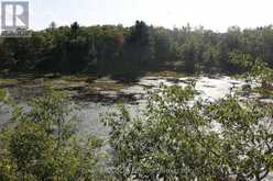 LT 22-24 CON 1 LAKE | Marmora Ontario | Slide Image Forty-four