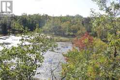 LT 22-24 CON 1 LAKE | Marmora Ontario | Slide Image Forty-five