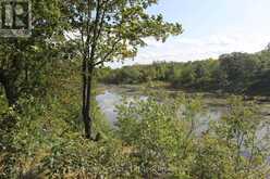 LT 22-24 CON 1 LAKE | Marmora Ontario | Slide Image Forty-six