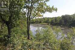 LT 22-24 CON 1 LAKE | Marmora Ontario | Slide Image Forty-seven