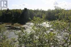 LT 22-24 CON 1 LAKE | Marmora Ontario | Slide Image Forty-eight