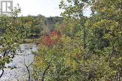 LT 22-24 CON 1 LAKE | Marmora Ontario | Slide Image Forty-nine