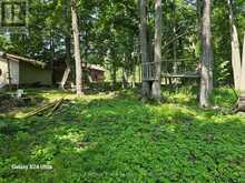 179 NORTHERN AVENUE | Bobcaygeon Ontario | Slide Image Six