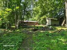 179 NORTHERN AVENUE | Bobcaygeon Ontario | Slide Image Eight