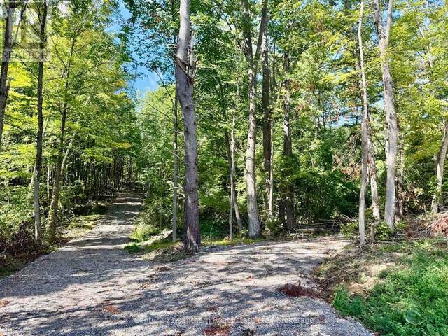 00 NORTH LOT HIGHWAY 62 Madoc Ontario, K0K 2K0 - Vacant Land For Sale