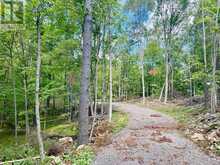 00 NORTH LOT HIGHWAY 62 | Madoc Ontario | Slide Image Three