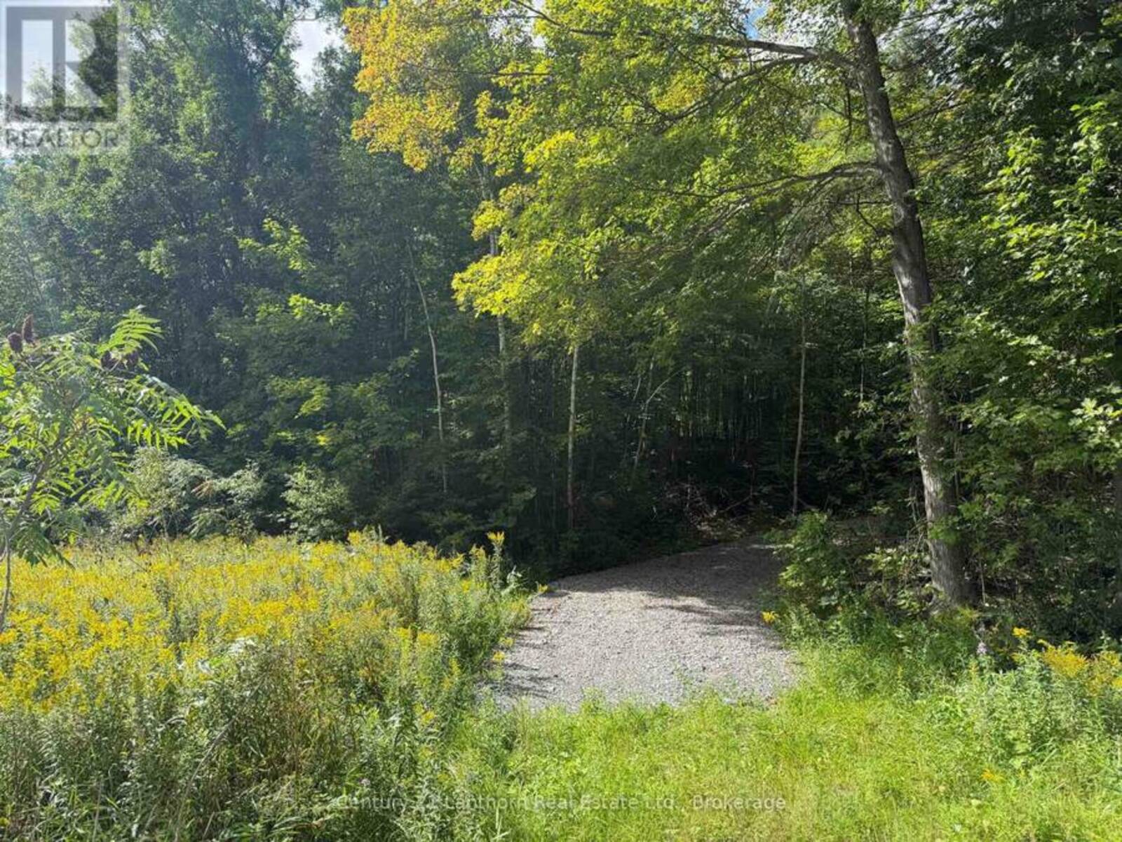 00 SOUTH LOT HIGHWAY 62, Madoc, Ontario K0K 2K0