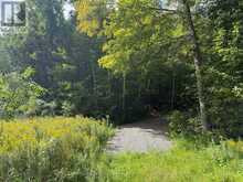 00 SOUTH LOT HIGHWAY 62 | Madoc Ontario | Slide Image One