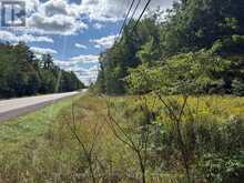 00 SOUTH LOT HIGHWAY 62 | Madoc Ontario | Slide Image Two