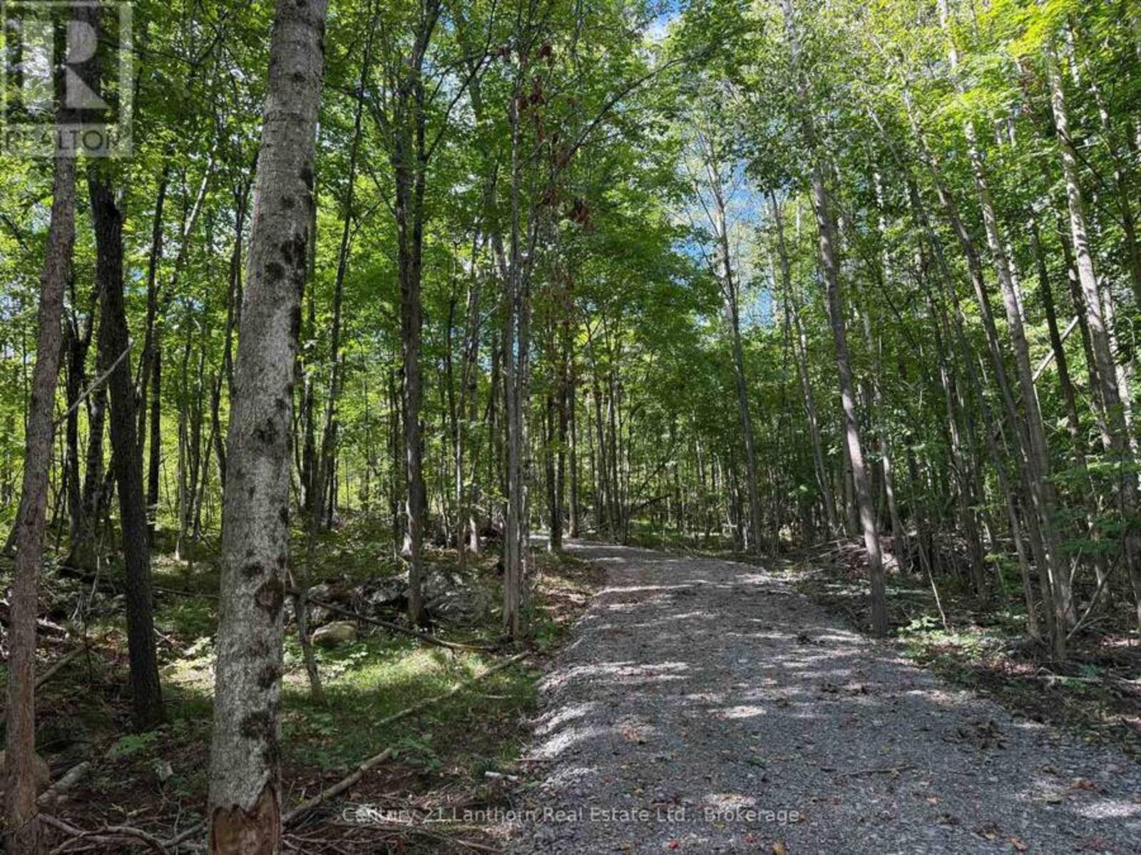 00 MIDDLE LOT HIGHWAY 62, Madoc, Ontario K0K 2K0