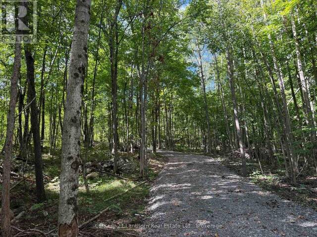 00 MIDDLE LOT HIGHWAY 62 Madoc Ontario, K0K 2K0 - Vacant Land For Sale