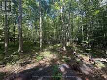 00 MIDDLE LOT HIGHWAY 62 | Madoc Ontario | Slide Image Four