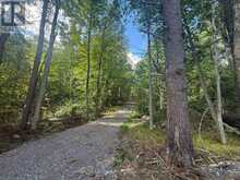 00 MIDDLE LOT HIGHWAY 62 | Madoc Ontario | Slide Image Eight