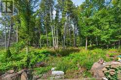 2350 CROWES LANDING ROAD | North Kawartha Ontario | Slide Image Forty-nine