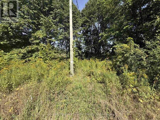 0 INGHAM ROAD (LOT 1 - WEST) Alnwick-Haldimand Ontario, K0K 1C0 - Vacant Land For Sale
