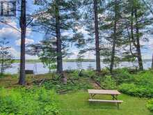 396 NORTH SHORE ROAD | Kawartha Lakes Ontario | Slide Image Five