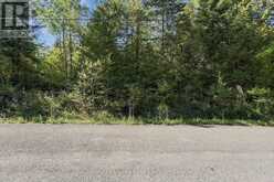 0 NORTH SCHOOL ROAD | North Kawartha Ontario | Slide Image Five