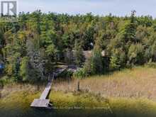 1330 COUNTY RD 49 | Bobcaygeon Ontario | Slide Image Five