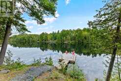 82 FIRE ROUTE 291 | North Kawartha Ontario | Slide Image Thirty-three