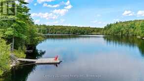 82 FIRE ROUTE 291 | North Kawartha Ontario | Slide Image Three
