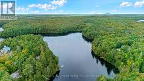 82 FIRE ROUTE 291 | North Kawartha Ontario | Slide Image Forty