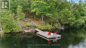 82 FIRE ROUTE 291 | North Kawartha Ontario | Slide Image Four