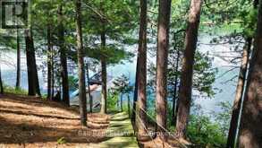 21 LUCERNE LAKE DRIVE | Bancroft Ontario | Slide Image Forty-six