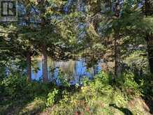 63 FIRE ROUTE 104 | Bobcaygeon Ontario | Slide Image One