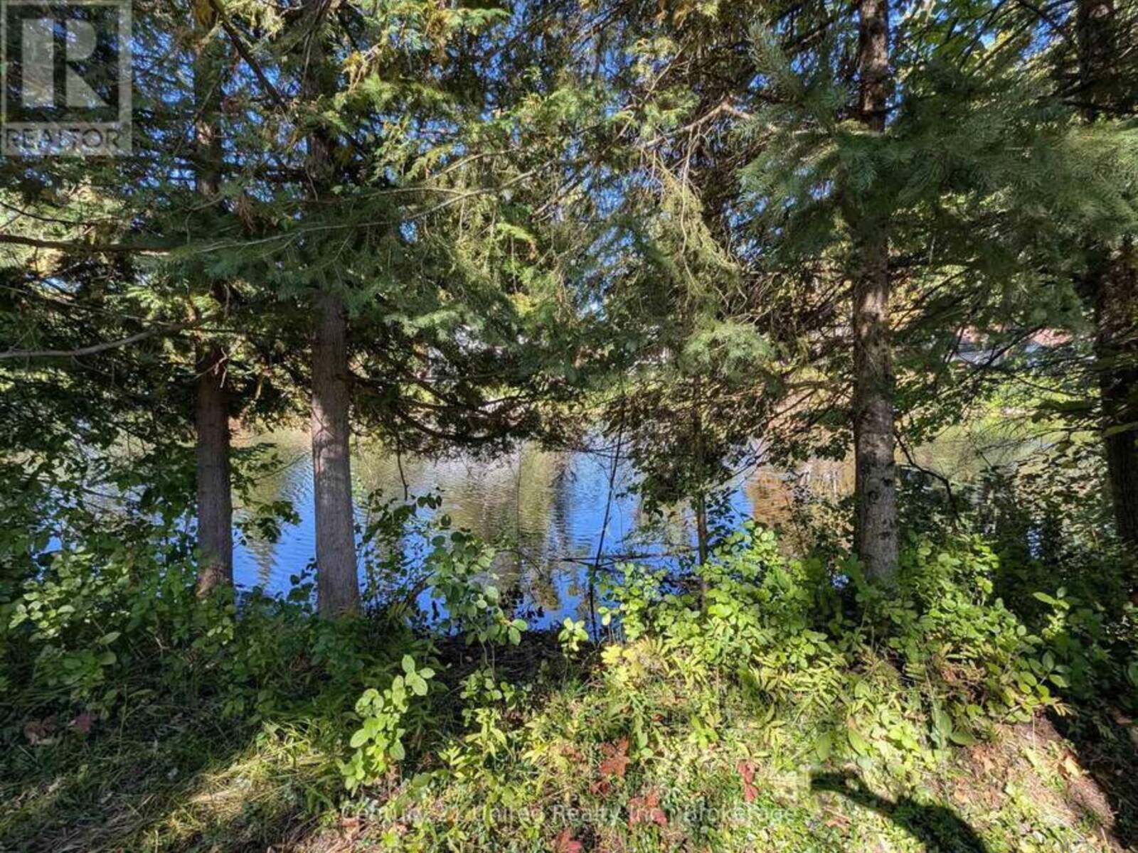 63 FIRE ROUTE 104, Bobcaygeon, Ontario K0M 1A0