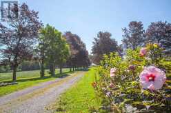 1350 4TH LINE ROAD | Port Hope Ontario | Slide Image Twenty