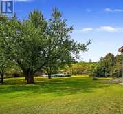 217 GODOLPHIN ROAD | Trent Hills Ontario | Slide Image Five