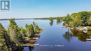 138 ALPINE LAKE ROAD | Bobcaygeon Ontario | Slide Image Thirty-five