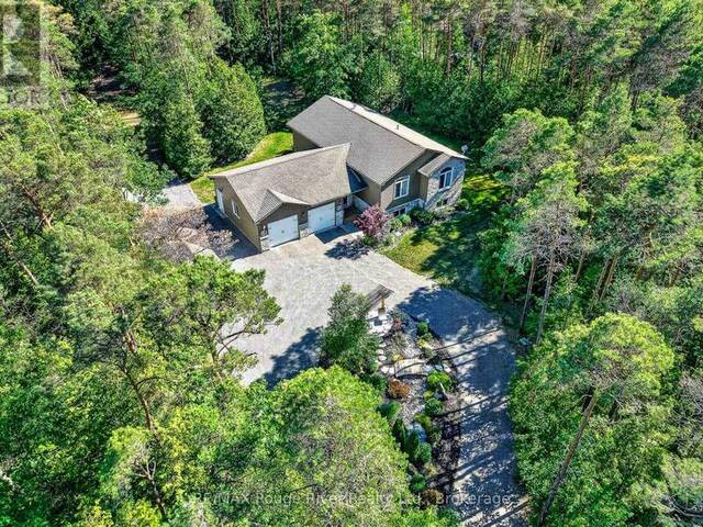 149 PINE TREE LANE Alnwick-Haldimand Ontario, K0K 1S0 - 4 Bedrooms Home For Sale